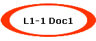 L1-1 Doc1