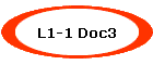 L1-1 Doc3